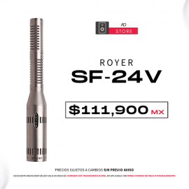 Royer SF 24V Microfono