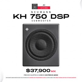 Neumann KH 750 DSP Subwoofer