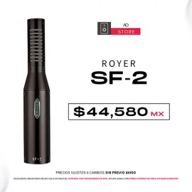 Royer SF 2 Microfono