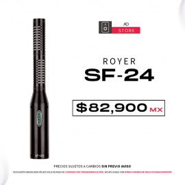 Royer SF 24 Microfono