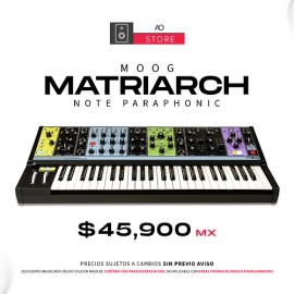 Moog Matriarch 4 Note Paraphonic Sintetizador Analógico